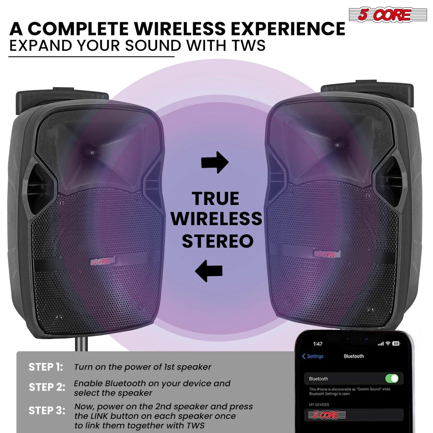 5Core 10" Bluetooth Party Speaker with 2 Wireless Microphones - Ultimate Karaoke Boombox Experience!