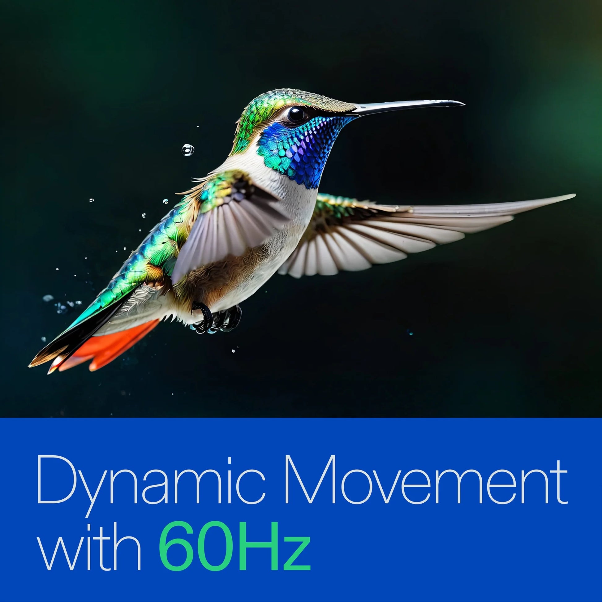 43” Class 4K UHD (2160P) LED Roku Smart Television HDR (100012584)